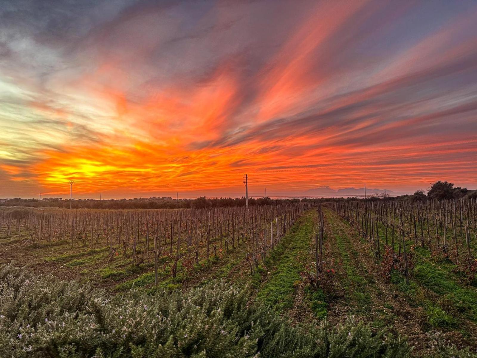 Station touristique Baglio Donnafranca Wine