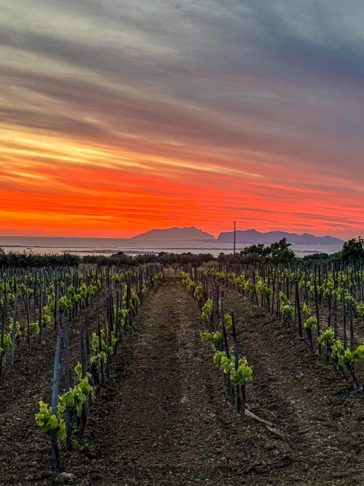 Baglio Donnafranca Wine Station touristique Marsala