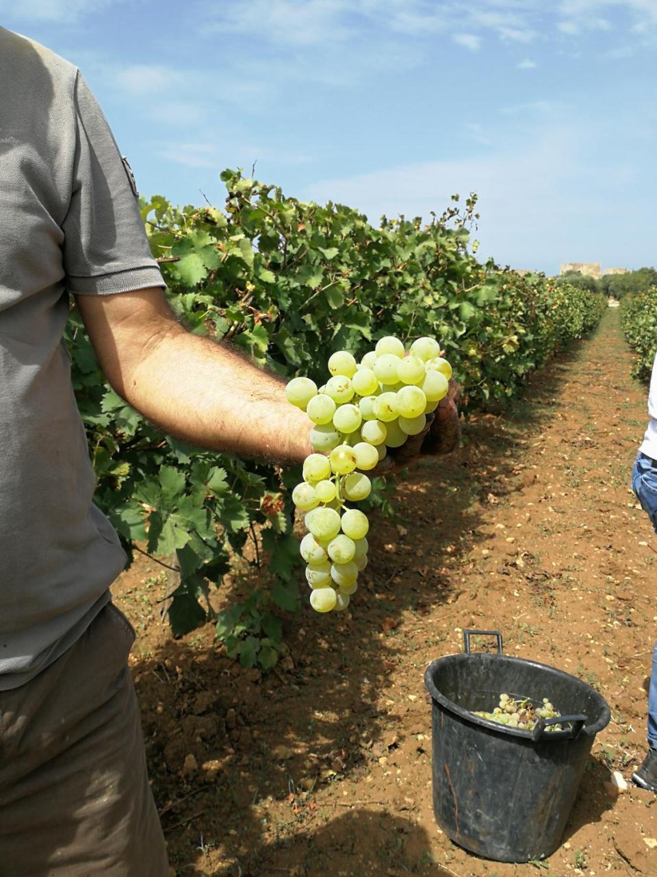 Station touristique Baglio Donnafranca Wine Marsala