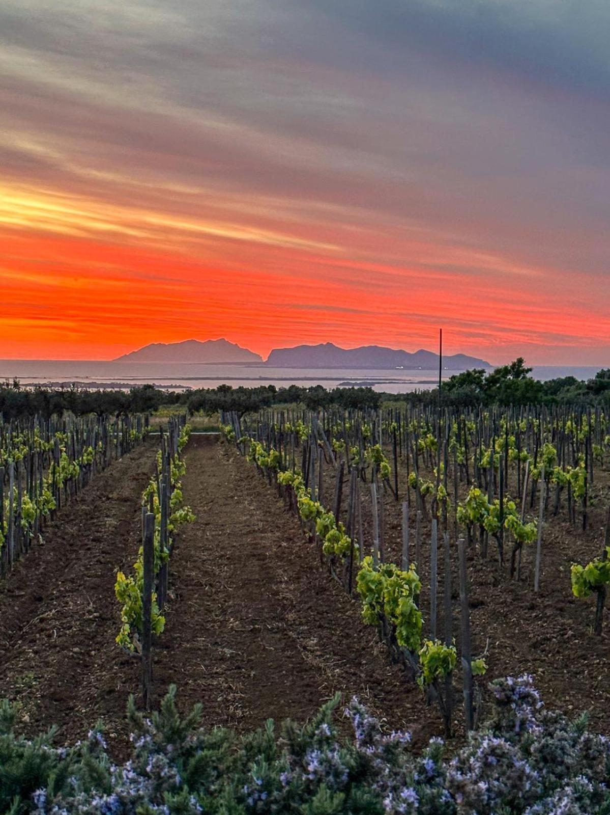 Baglio Donnafranca Wine Resort