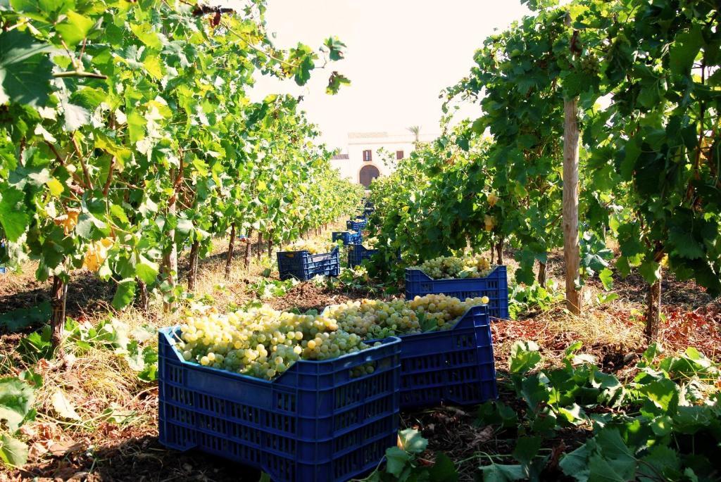 Resort Baglio Donnafranca Wine Marsala